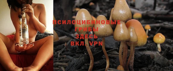 дмт Армянск