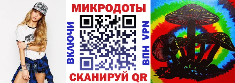 Псилоцибиновые грибы Psilocybine cubensis  Полысаево 